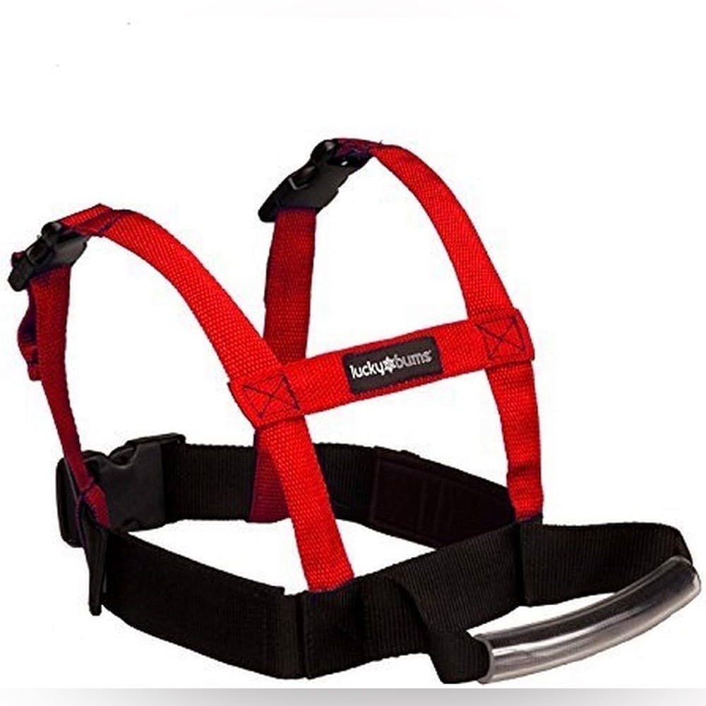 Lucky Bums Grip N Guide Kid's Ski Training Harness, Red , Ages 2 - 8